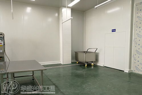 洁净车间设计之物料净化策略与华盛兴邦照明系统优化方案